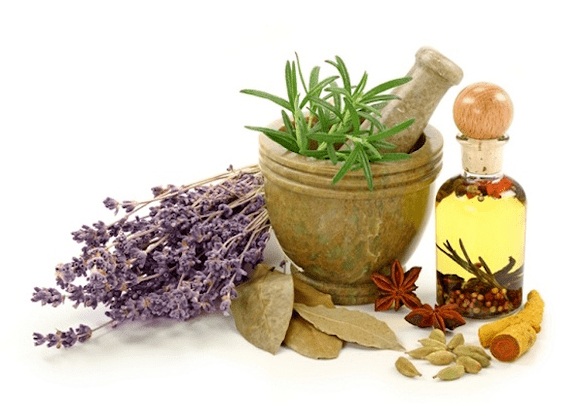 using herbs to enlarge breasts
